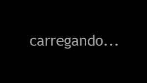 O gato borralheiro